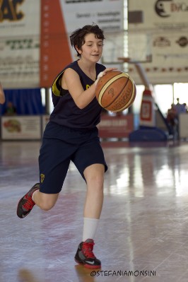 _STE3258.jpg