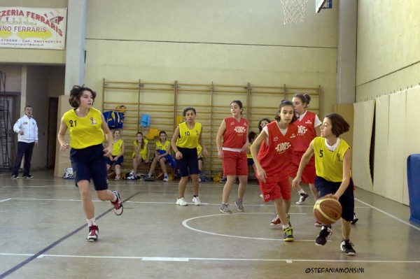 _STE3860.jpg