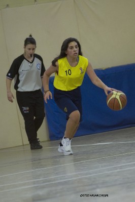 _STE3896.jpg