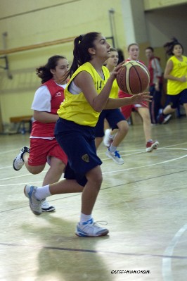 _STE3906.jpg