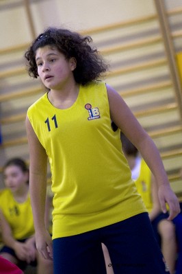_STE3910.jpg