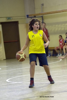 _STE3926.jpg