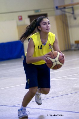 _STE3943.jpg