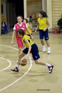 _STE3979.jpg