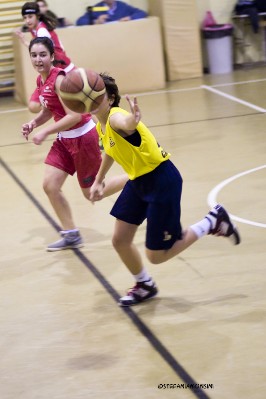 _STE4008.jpg
