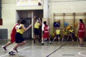 _STE3857.jpg