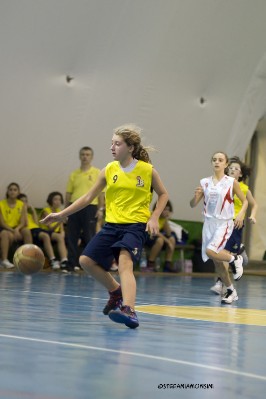 _STE5533.jpg