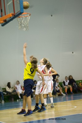_STE5535.jpg