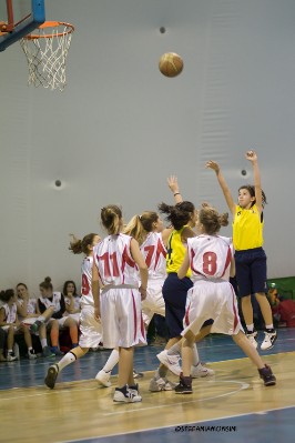 _STE5544.jpg