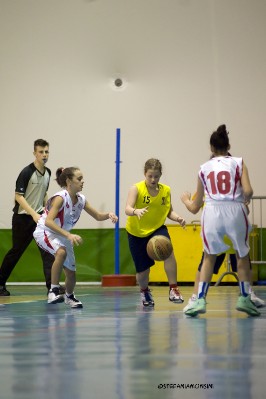 _STE5590.jpg