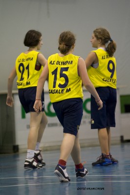 _STE5602.jpg