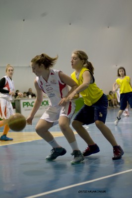 _STE5488.jpg