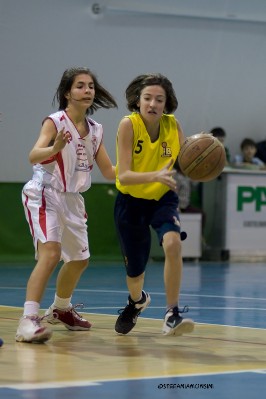 _STE5492.jpg
