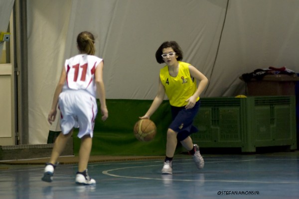 _STE5502.jpg