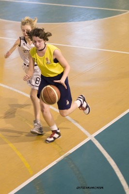 _STE5659.jpg