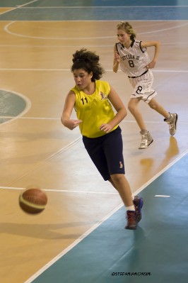 _STE5673.jpg