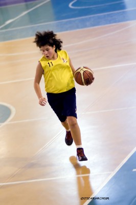_STE5683.jpg