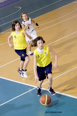 _STE5702.jpg