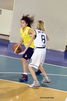 _STE5718.jpg