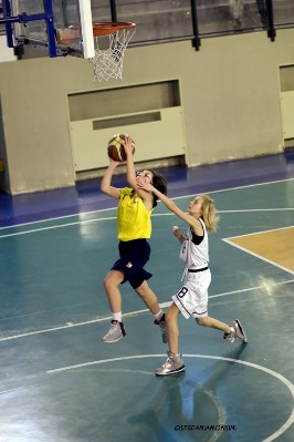 _STE5631.jpg