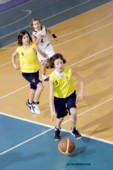 _STE5702.jpg