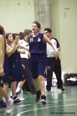 _STE0732.jpg