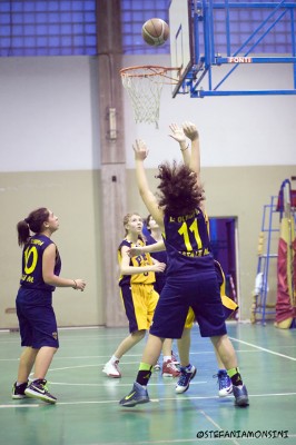 _STE0748.jpg