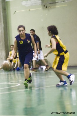 _STE0772.jpg
