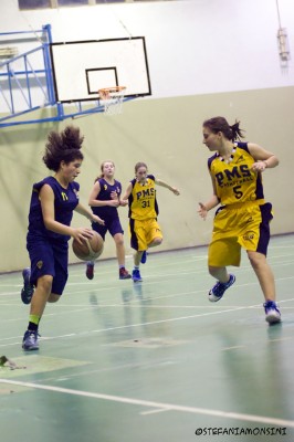 _STE0776.jpg