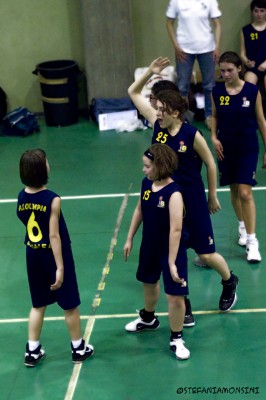 _STE0877.jpg
