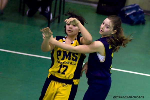 _STE0904.jpg