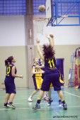 _STE0748.jpg