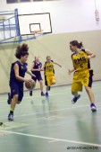 _STE0776.jpg