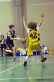 _STE0812.jpg