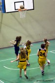 _STE0879.jpg