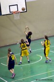 _STE0914.jpg