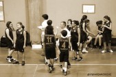 _STE0922.jpg