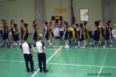 _STE0925.jpg