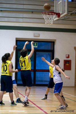 _STE0556.jpg