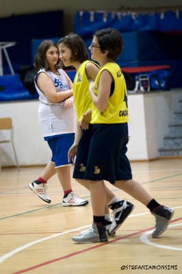 _STE0566.jpg