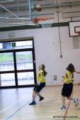 _STE0534.jpg