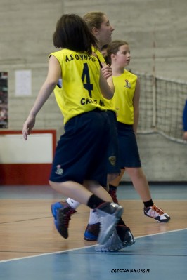 _STE6361.jpg
