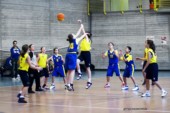 _STE6222.jpg
