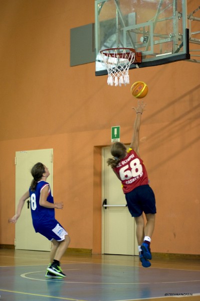 _STE2008.jpg