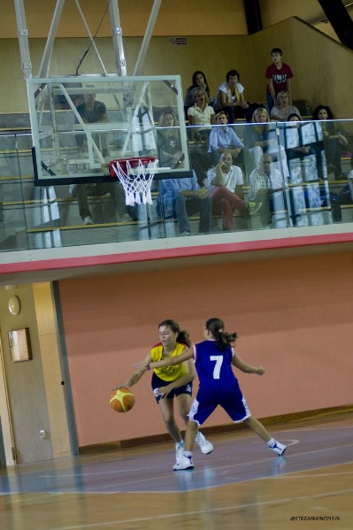 _STE2013.jpg