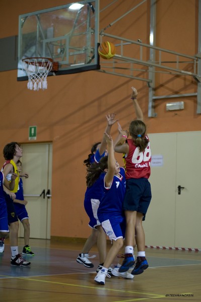 _STE2028.jpg