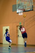 _STE2008.jpg