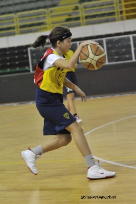 _STE2566.JPG