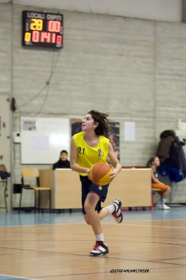 _STE3704.jpg