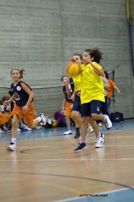 _STE3747.jpg